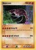 Beavcoon