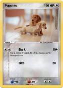 Puppies