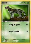 Ocelot