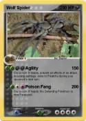 Wolf Spider
