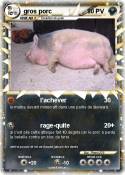 gros porc
