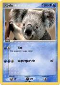 Koala