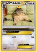 This is life