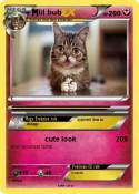 lil bub