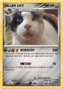 KILLER CAT!
