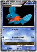 Mudkip