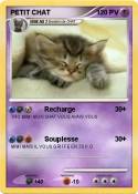 PETIT CHAT