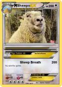 Sheepo