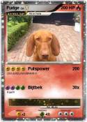 Fudge