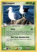 Twin seagulls