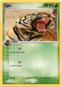 tigre