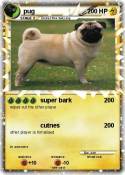pug