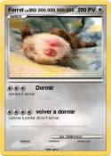 Ferret