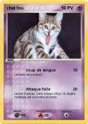 chat fou