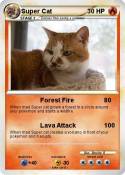 Super Cat