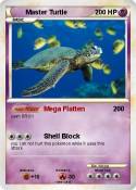 Master Turtle