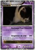 Zazou