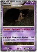Zazou