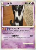 cat EX