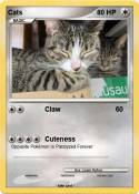 Cats