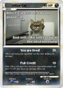 Office Cat