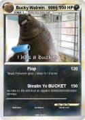 Bucky Walrein