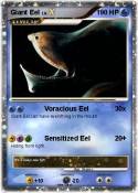 Giant Eel