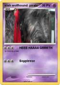 irish wolfhound