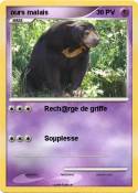 ours malais