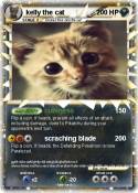 kelly the cat