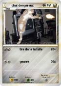 chat dengereux