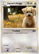 Carson's Doggy