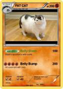 FAT CAT