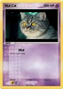 Wut Cat