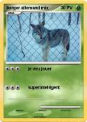 berger allemand
