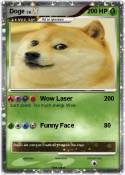 Doge