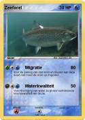Zeeforel