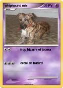 whiphound mix