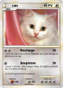 cats