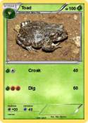 Toad