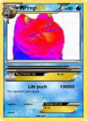 Frogi