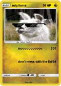 mlg llama
