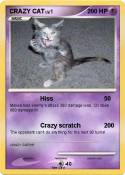 CRAZY CAT