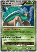 Torterra P