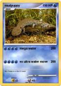 mudpuppy