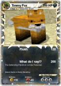 Timmy Fox