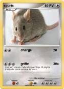 souris