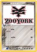 zoo york