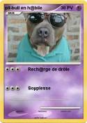 pit-bull en h@b