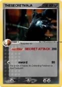 THESECRETNINJA
